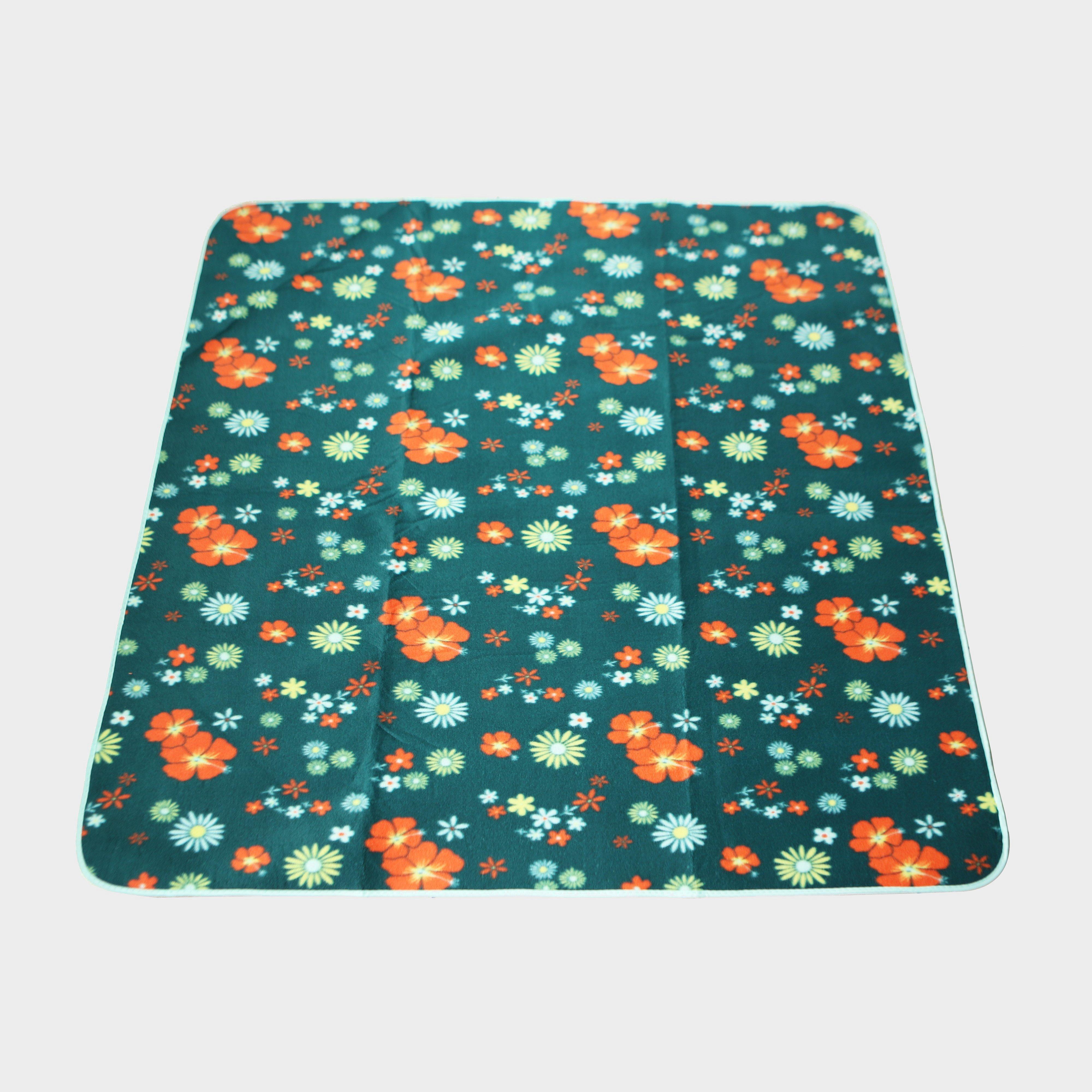 Eurohike Picnic Blanket Reviews Updated August 2023