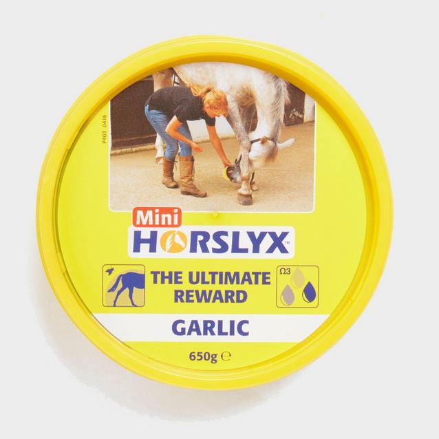  Horslyx Mini Lick Garlic image 1
