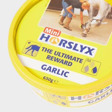 Multi Horslyx Mini Lick Garlic