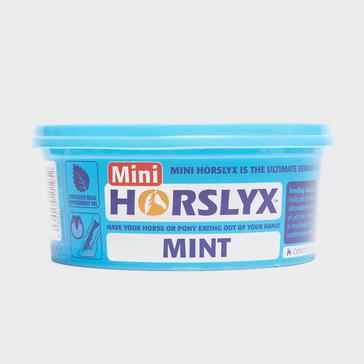 Multi Horslyx Mini Lick Mint