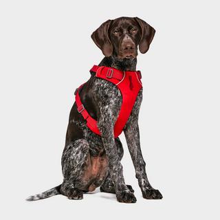 Front Range Dog Harness Red