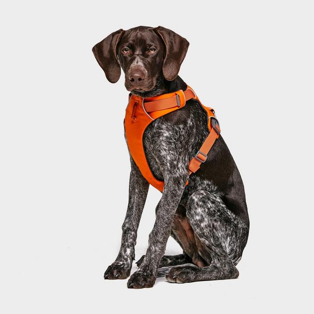 Orange Ruffwear Front Range Dog Harness Orange image 1