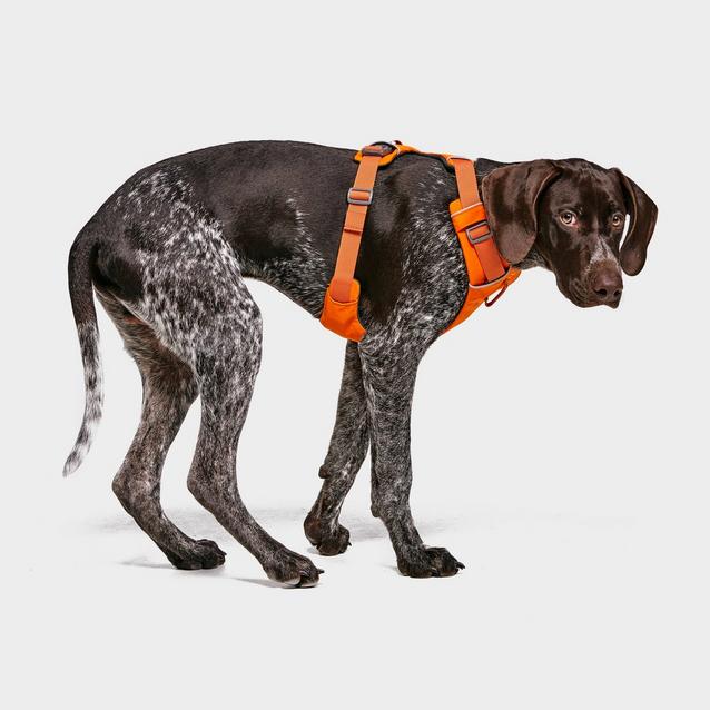 Ruffwear Front Range Dog Harness Orange Fishing Republic