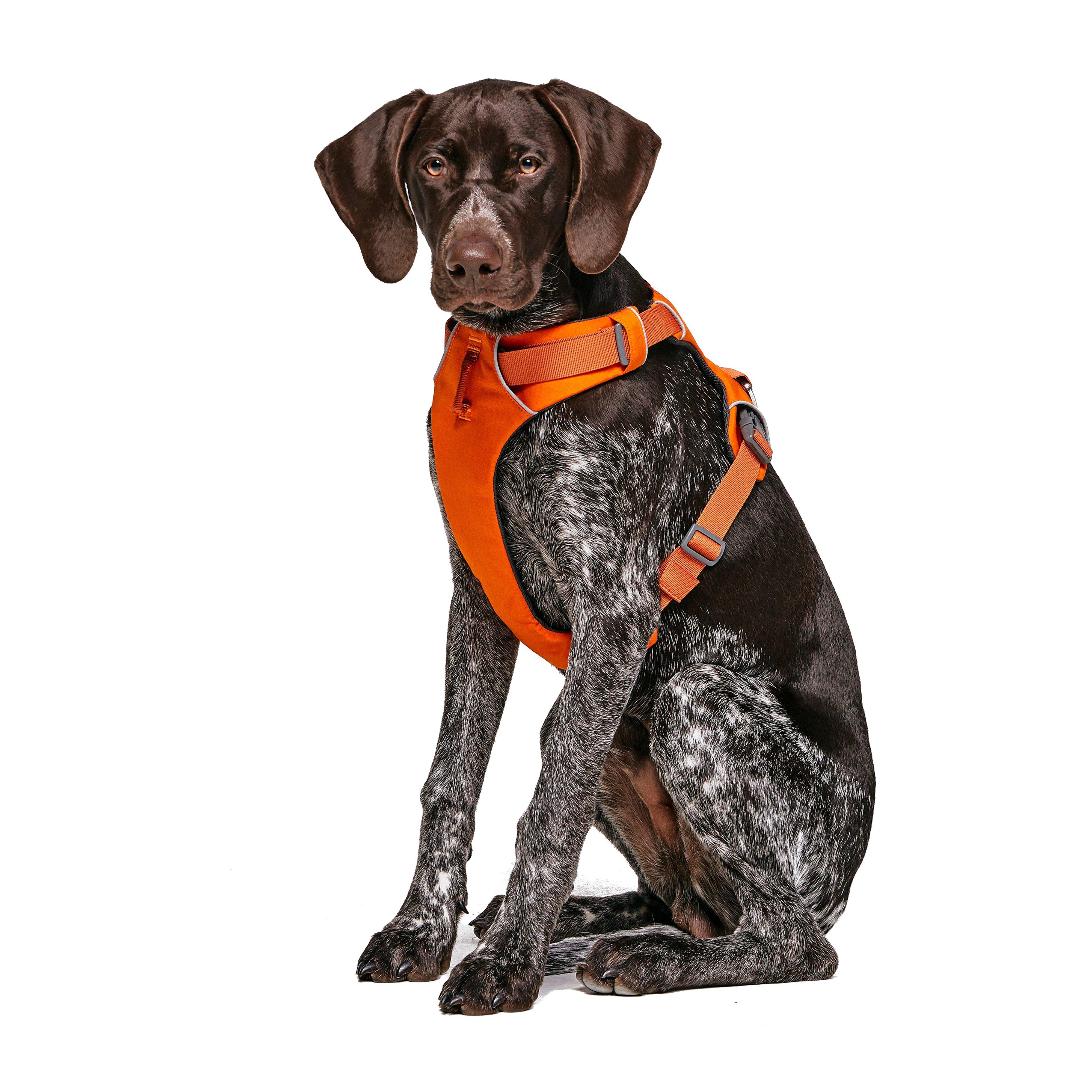 Front Range Dog Harness Orange