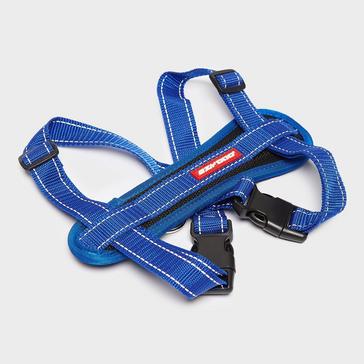 Blue EzyDog Chest Plate Dog Harness Blue Medium