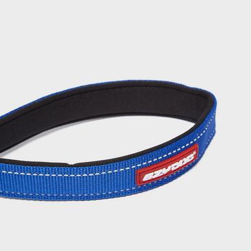 Blue EzyDog Zero Shock Dog Lead (25