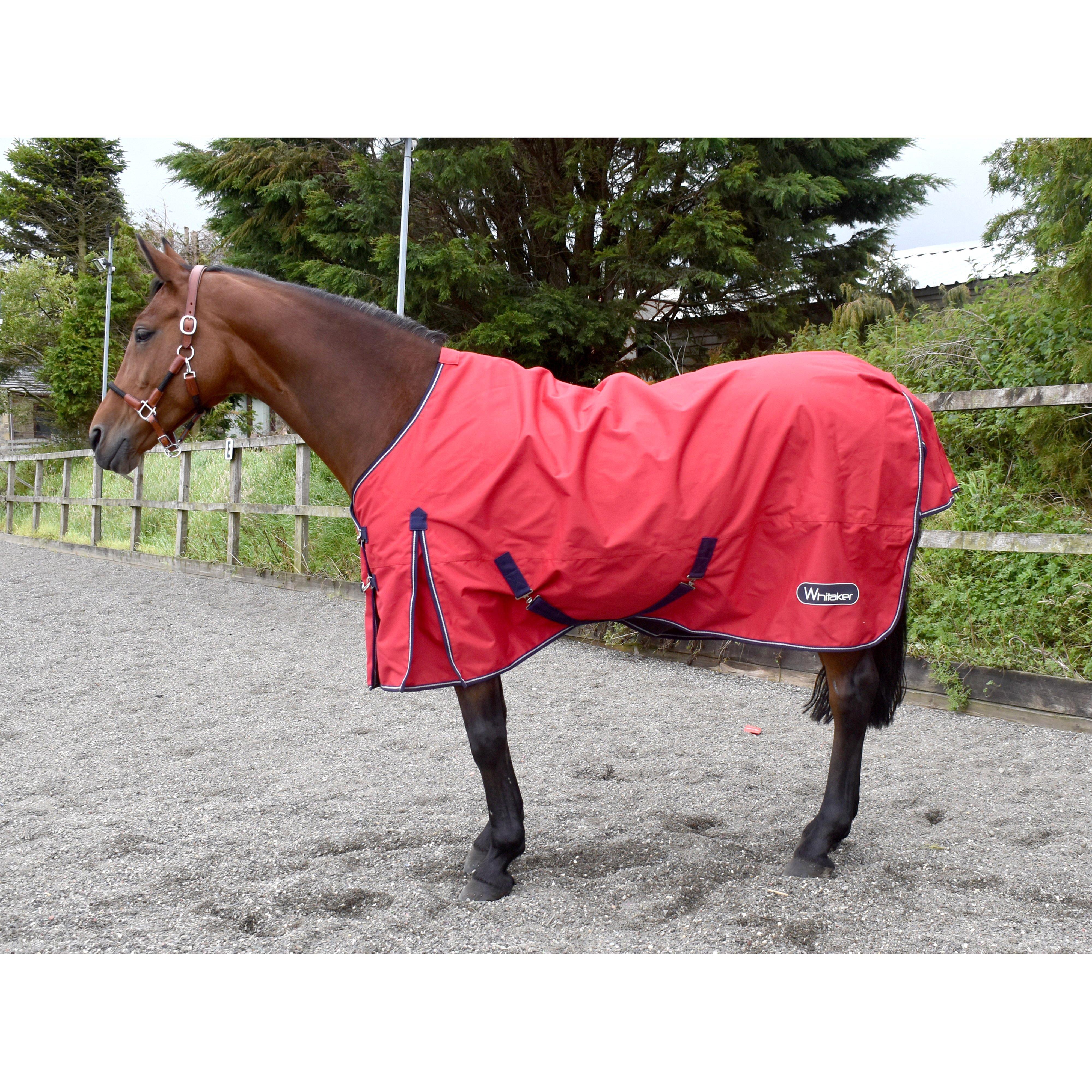 Whitaker Barrow Turnout 0g Rug Review