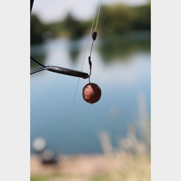 prawn boilies