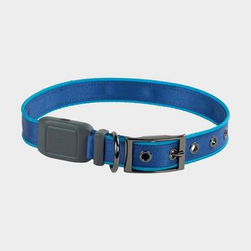 Blue Niteize Nitedog LED Rechargeable Collar Blue