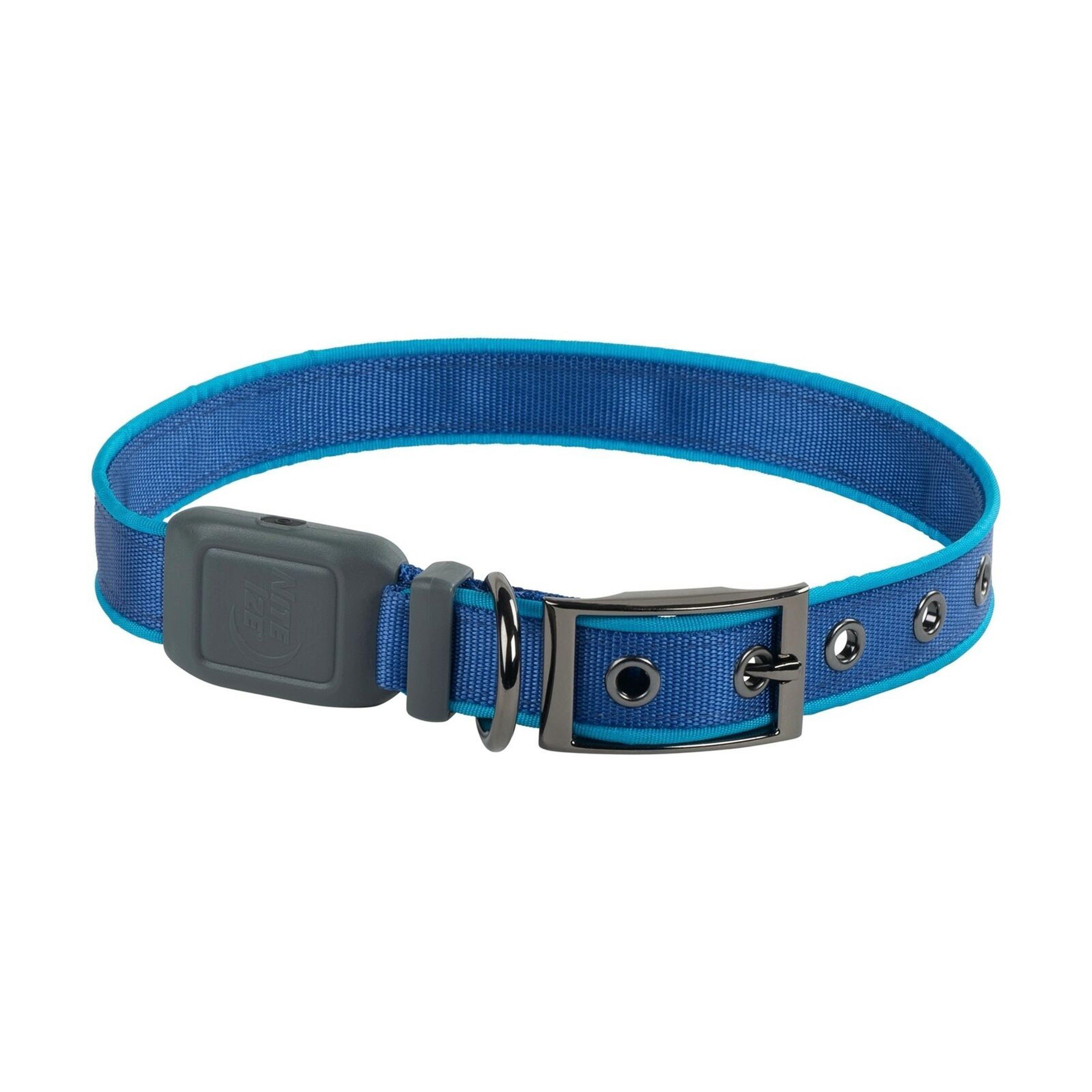 Nitedog LED Rechargeable Collar Blue Large
