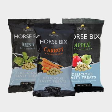 Carrot Flavoured Horse and Pony Treats William Hunter Equestrian Lincoln Horse Bix 