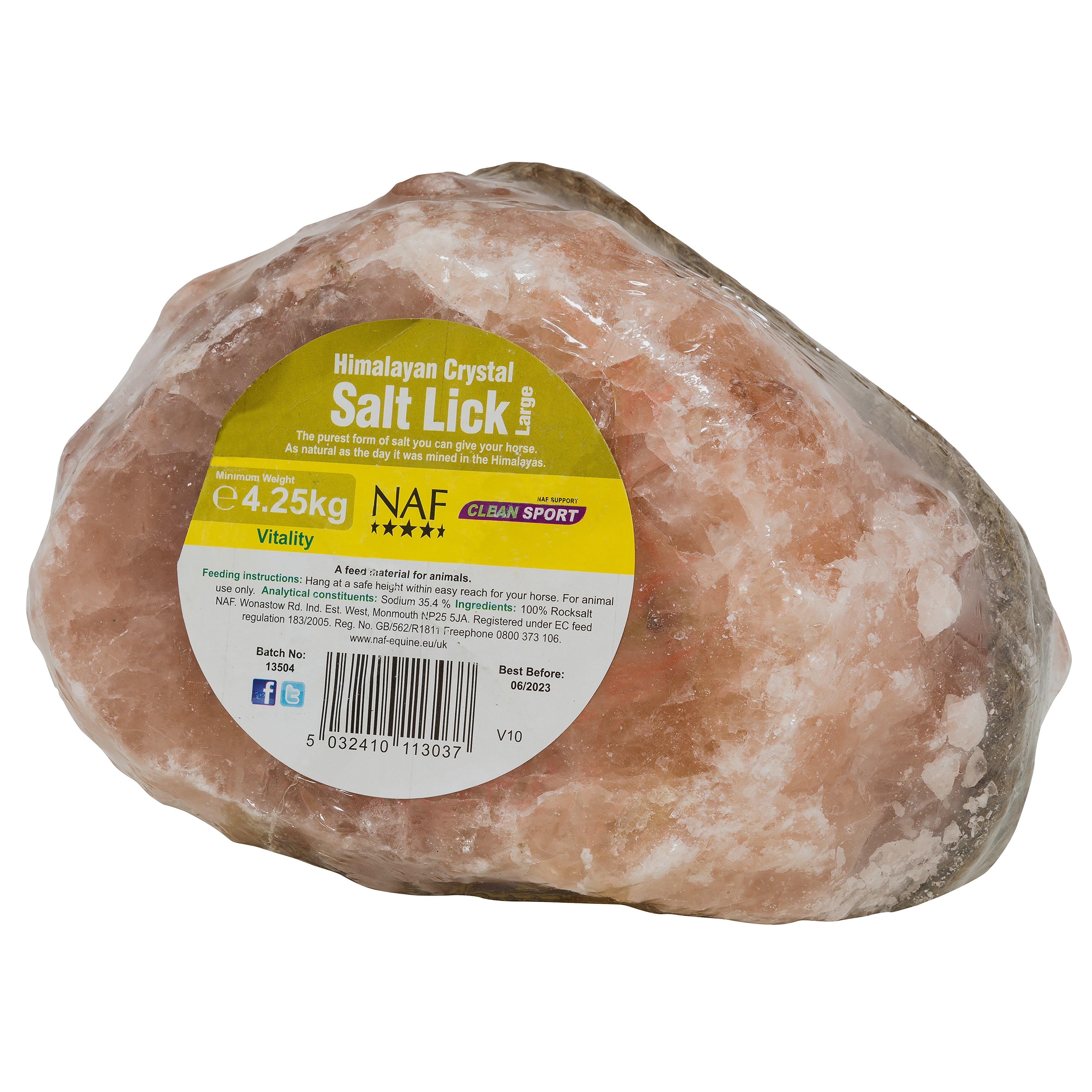 Himalayan Salt Lick Large