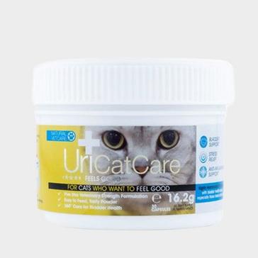 Cheap hot sale cat care