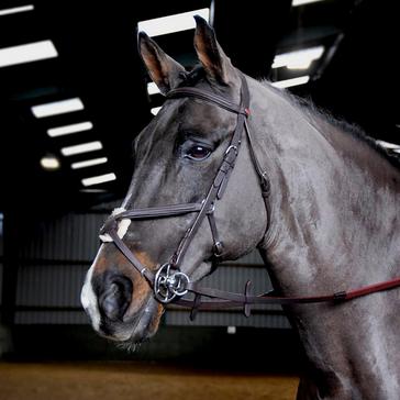 Brown Whitaker Ready-To-Ride Mexican Bridle