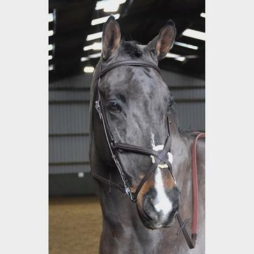 Brown Whitaker Ready-To-Ride Mexican Bridle