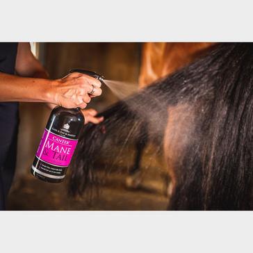 Clear Carr and Day and Martin Canter Mane & Tail Conditioner