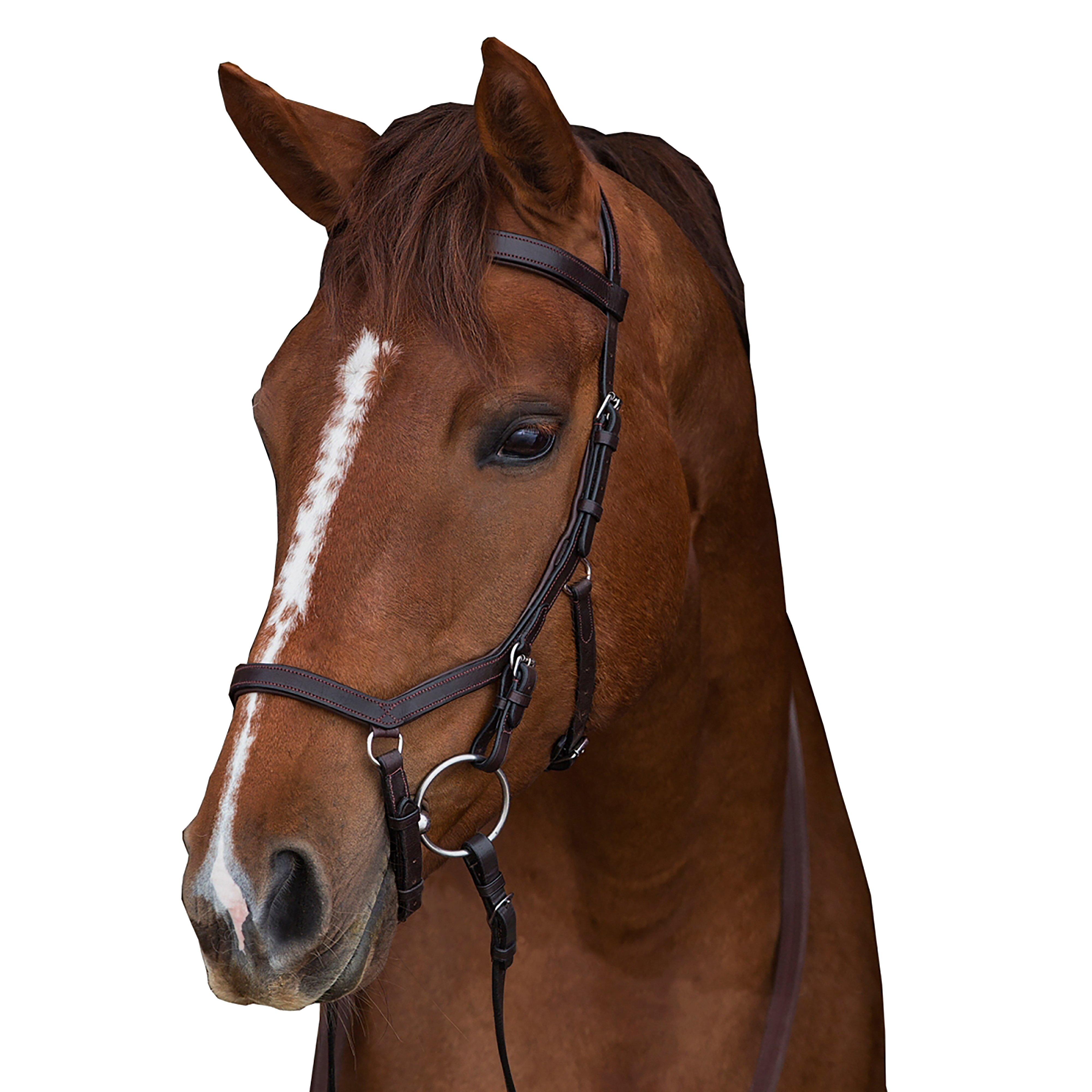 Rambo Micklem Original Competition Bridle Brown