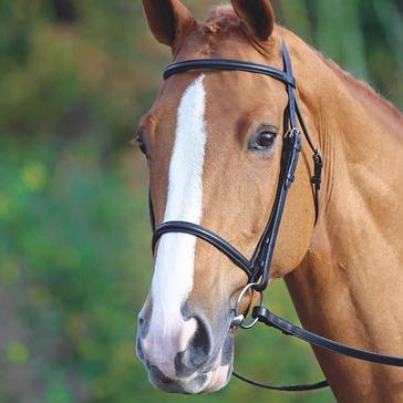 Black Velociti GARA Raised Cavesson Bridle Black