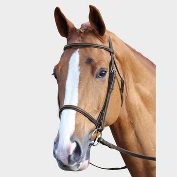 Brown Velociti GARA Raised Cavesson Bridle Havana