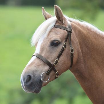 Brown Velociti GARA Plain Inhand Bridle Havana