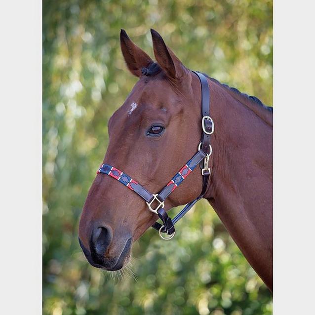 Red Shires Blenheim Leather Polo Headcollar Red/Navy image 1