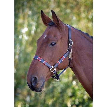 Red Shires Blenheim Leather Polo Headcollar Red/Navy