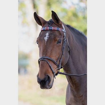 Assorted Blenheim Leather Polo Browband Red/Navy