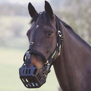 Black Greenguard Headcollar Black