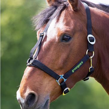 Black Greenguard Headcollar Black