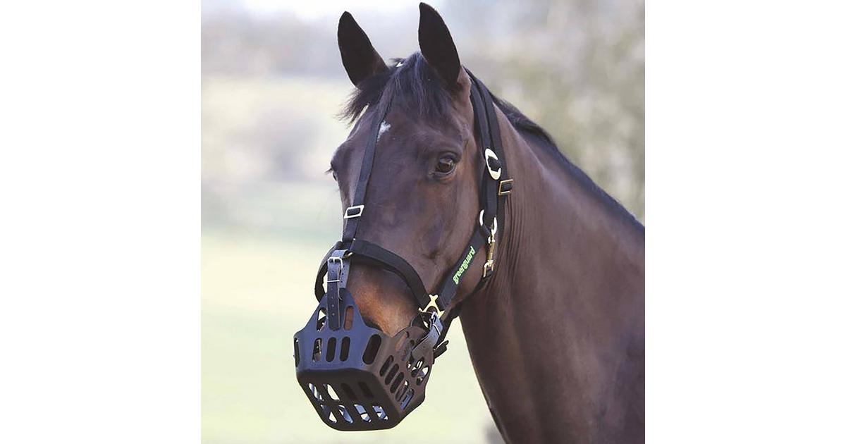 Greenguard Headcollar Black Naylors