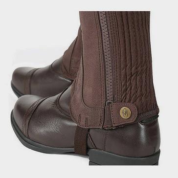 Brown Moretta Adults Amara Half Chaps Brown 