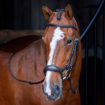 Brown Velociti Ergonomic Flash Bridle Havana