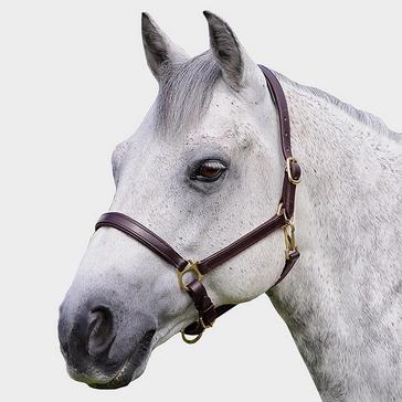 Brown Shires Ragley Leather Headcollar Brown