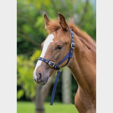 Blue Shires Nylon Foal Slip Navy