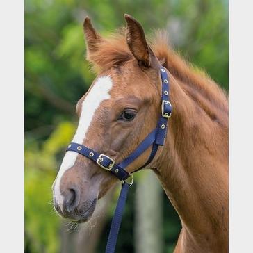 Blue Shires Nylon Foal Slip Navy