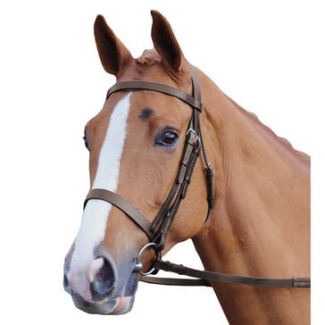 Brown Velociti GARA Plain Bridle Havana