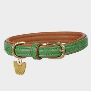 Padded Leather Dog Collar Green