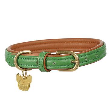 Green Digby & Fox Padded Leather Dog Collar Green