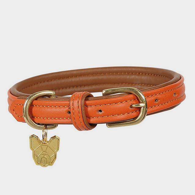 Orange Digby & Fox Padded Leather Dog Collar Orange image 1