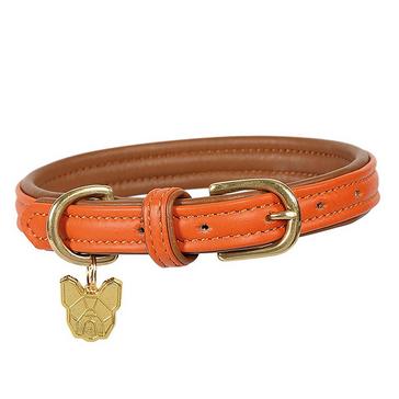 Orange Digby & Fox Padded Leather Dog Collar Orange