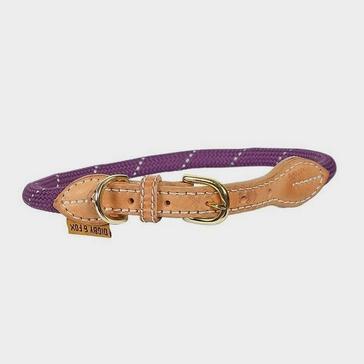 Purple Digby & Fox Reflective Dog Collar Purple