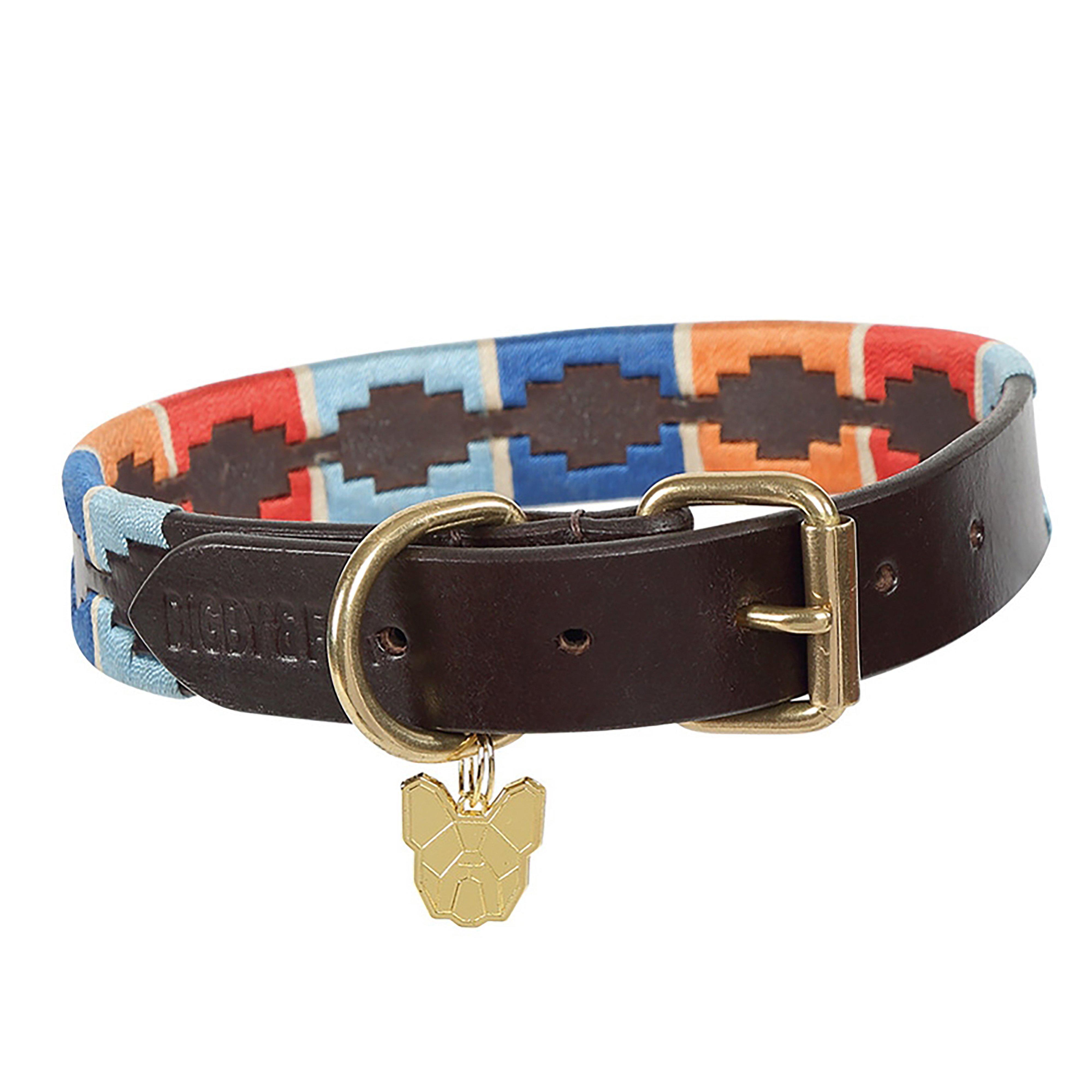 Drover Polo Dog Collar Turquoise/Red/Orange