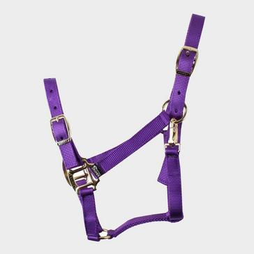 Purple Shires Nylon Headcollar Purple