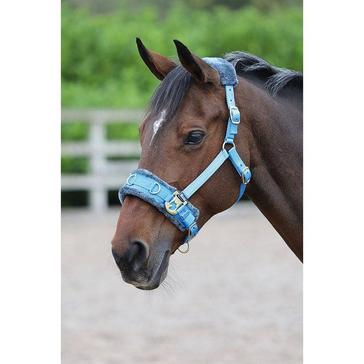 Blue Shires Fleece Lined Lunge Cavesson Blue