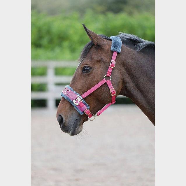 Pink Shires Fleece Lined Lunge Cavesson Pink image 1