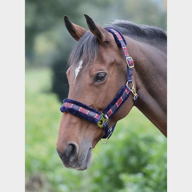 Red Shires Shires Polo Fleece Lined Headcollar Red/Navy image 1