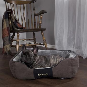 Grey Scruffs Chester Box Bed Graphite