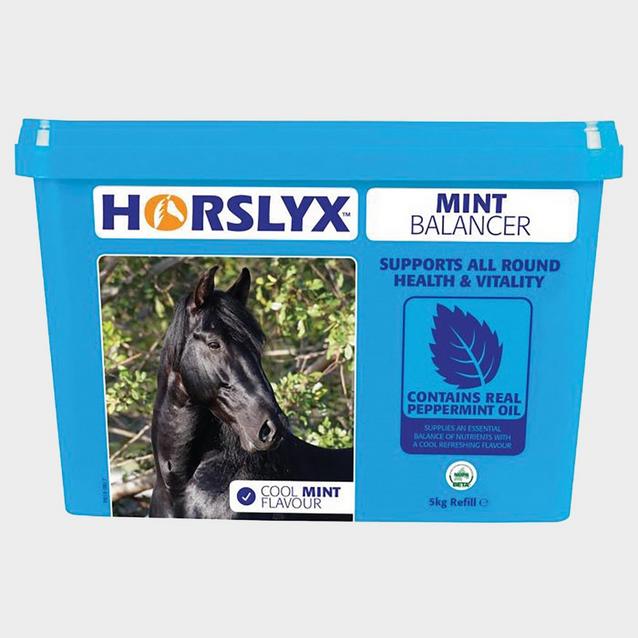Blue Horslyx Mint Refill 5kg image 1