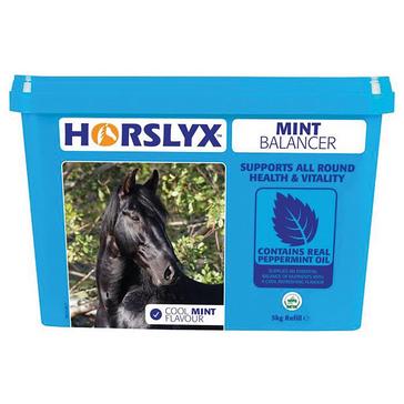 Multi Horslyx Mint Refill 5kg