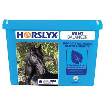Blue Horslyx Mint Refill 5kg